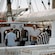 Guests gathered on the deck of a sailing yacht